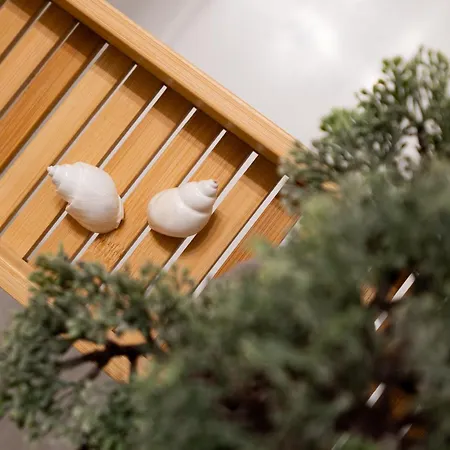 Apartment Panoramic B03-1 *