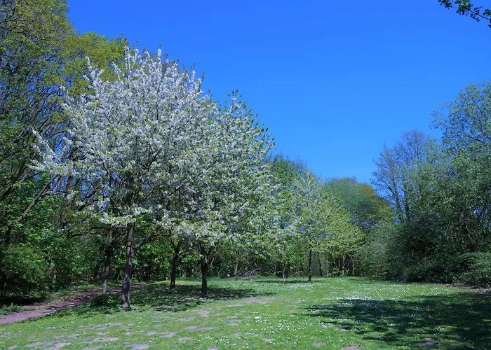 Panoramic B03-1 Apartment